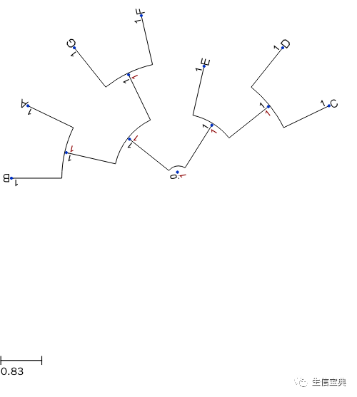 ETE构建、绘制进化树