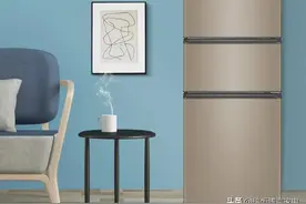 海尔性价比超高的小冰箱，BCD-216WMPT和BCD-216STPT对比图片