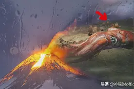 富士山喷发前兆？日本海岸惊现“巨型鱿鱼”，7小时连发4次地震？图片