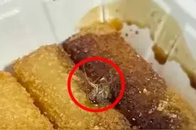 女生外卖吃出蟑螂索赔遭拒，店家：你拿过来，我把它吃掉，有本事报警；当事人：监管部门已介入图片