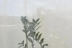 做大俗人，过小日子图片