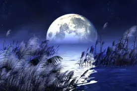 都是月亮惹的祸图片