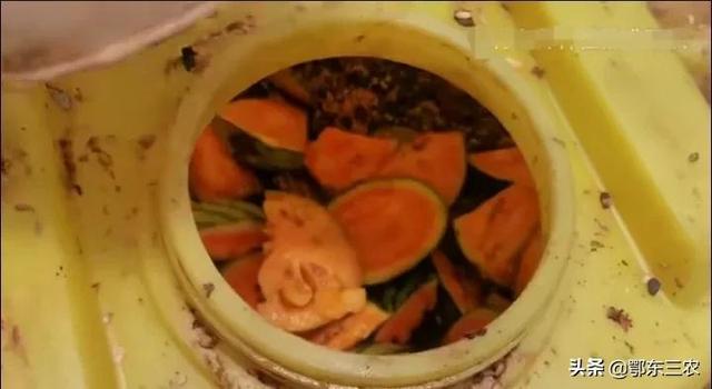 农户种瓜果蔬菜，自制酵素肥，比购买的同类肥料品质要高很多