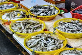 冬天买鱼，这5种鱼都是野生海鱼，不能人工养殖，遇到后不要错过图片