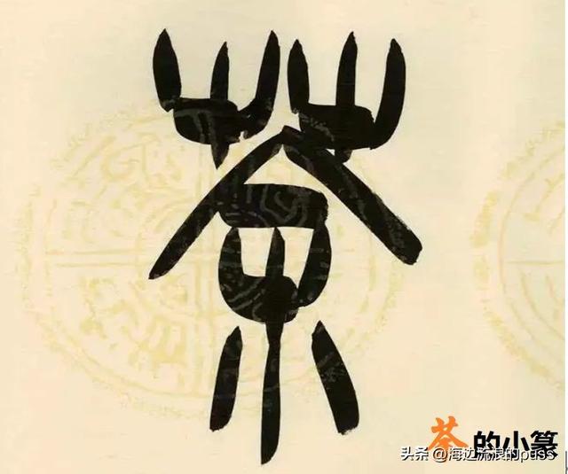 代表植物的字有哪些,殷墟甲骨文写意画及造字欣赏 (第4篇)「植物及其