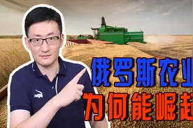 俄罗斯一跃从粮食进口国变成粮食出口国，俄罗斯农业为何能崛起？图片