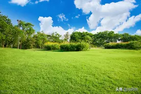 慢性前列腺炎的症状、日常护理图片