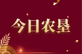 宁夏农垦集团全面完成国企改革三年行动任务图片