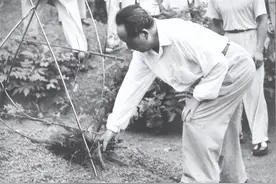 1959年，主席时隔32年重回韶山，见父母坟墓荒废：不要修，就这样图片