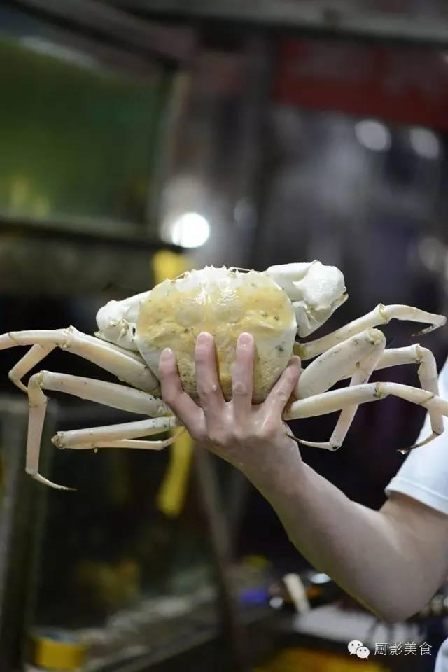 花胶选几级的 花胶等级顺序鱼胶排名大全