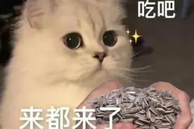 怎样看待“丑”图片