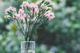 五十岁之后，最该明白这6个人生道理图片