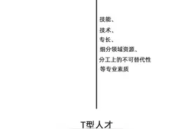T型人才的成长之道图片