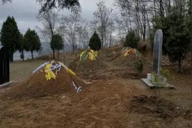 “坟前长三物，子孙一直福”，“坟旁长竹，尽快迁坟”是啥意思？图片