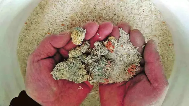 听说豆腐乳含有黄曲霉素，吃了会危害肝脏？你需要注意的是这3点