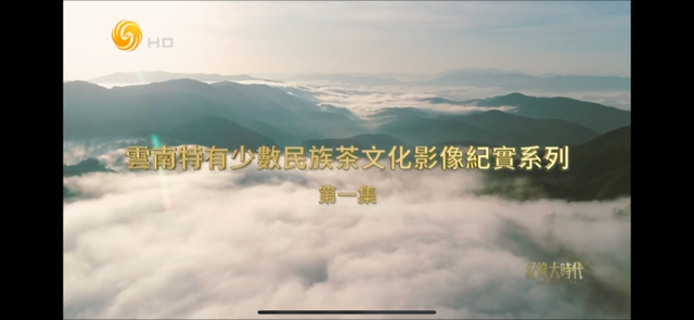 凤凰卫视播出！云南少数民族茶香飘向世界