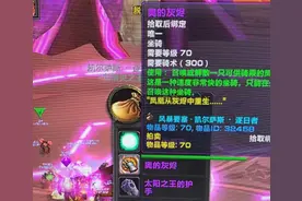魔兽TBC两位纯种欧皇，凤凰3连出、风脸成对刷，橙色掉落有玄学？图片