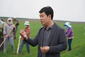 东北三甲医院副院长辞职种地几乎花光积蓄，他说弃医从农是为改变更多人图片