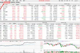 通达信功能介绍：精准的“实时资金流向”！图片
