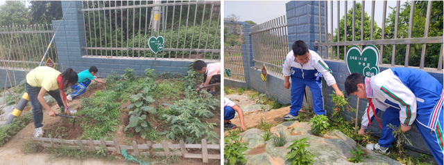 四川省民生研究会新媒体中心-官网