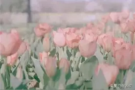 分手很正常，无缝衔接很没教养图片