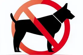 别碰这些狗，早被“禁”了！养了就是犯法图片