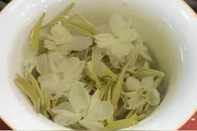为了忘却的记忆图片