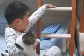 江苏一男孩拉着猫咪睡觉，委屈的样子让人心疼：山大王和压寨夫人图片