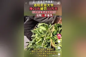 卖菜大爷赚21元被罚11万，法院不准强制执行，市监局处罚错了吗？图片