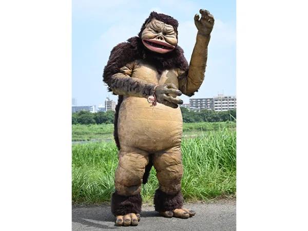 泽搭奥特曼怪兽大全