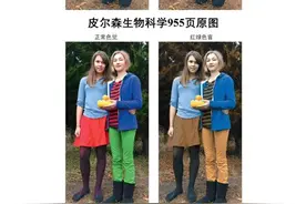原来红绿色盲人眼中的颜色是这样的图片
