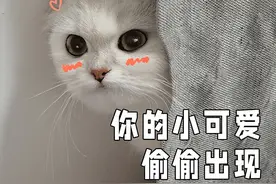 2023法考通过率解析 → 今年会接着放水还是越来越难？图片