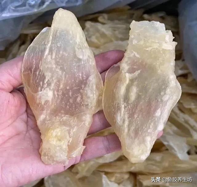 人工合成花胶 人工合成花胶可以吃吗
