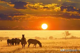 非洲国家回国航班信息攻略图片