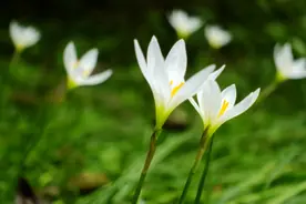 亲戚朋友关系再好，在饭局上，也要懂得这6条潜规则图片