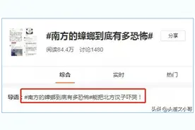 南方蟑螂可以有多吓人？图片
