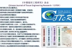 新生实验鼠如何安乐死符合伦理学要求？图片