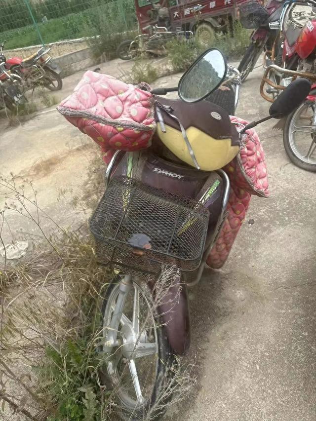 逾期办理注销手续的情况说明，逾期办理注销手续的情况说明怎么写 配图14