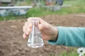 还在纠结磷酸二氢钾到底如何使用？园艺师一篇文章帮你彻底搞清楚图片