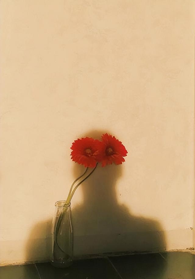 很走心的干净文案图片,简单干净 治愈走心朋友圈文案 - 冷求网