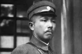 军阀杨森连娶十二个太太，命运各不相同，最后一个在他91岁时生女图片