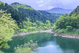 郭进拴｜在庐山看《庐山恋》图片