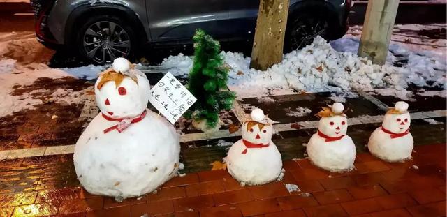 大郑州堆雪人内卷严重，哪个是金奖？全河南的雪人都在这里了