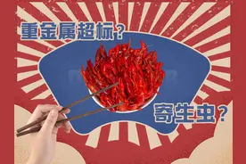 小龙虾重金属超标？浑身长满寄生虫？实测6款，答案来了图片