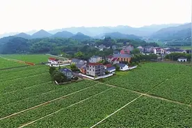 重走东坡古道 体验新登千年古城魅力图片