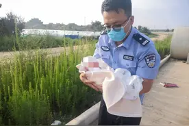揪心！纸箱中传来弃婴微弱啼哭声！咸阳礼泉民警第一时间妥善处置图片