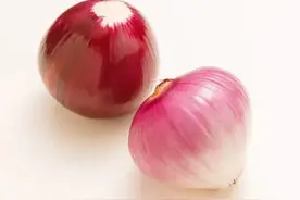 洋葱图片