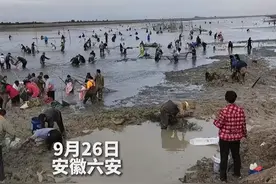 湖泊水位大降引万人抓鱼！干旱对生态有何影响？湖泊还会有鱼吗？图片
