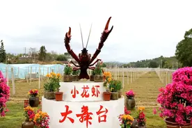 万人游坪市拉动百万元消费，坪市龙虾体验节嗨翻啦！图片