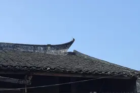 涨见识！百年老宅里，都有什么故事？图片